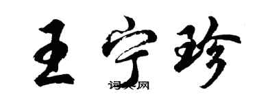 胡問遂王寧珍行書個性簽名怎么寫