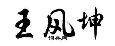 胡問遂王風坤行書個性簽名怎么寫
