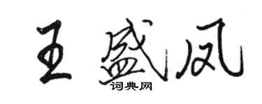 駱恆光王盛鳳行書個性簽名怎么寫