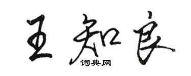 駱恆光王知良行書個性簽名怎么寫