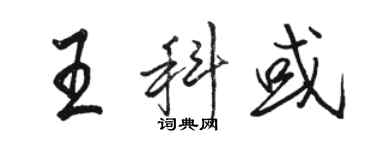 駱恆光王科或行書個性簽名怎么寫