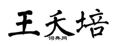 翁闓運王夭培楷書個性簽名怎么寫