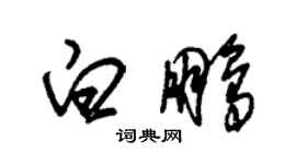 朱錫榮白鵬草書個性簽名怎么寫