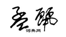 朱錫榮孟麗草書個性簽名怎么寫