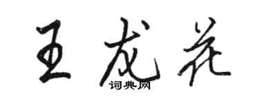 駱恆光王龍花行書個性簽名怎么寫