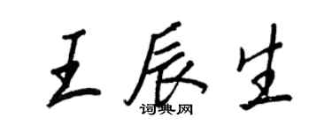 王正良王辰生行書個性簽名怎么寫