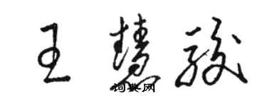 駱恆光王慧駿草書個性簽名怎么寫