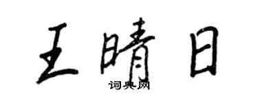 王正良王晴日行書個性簽名怎么寫