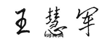 駱恆光王慧軍行書個性簽名怎么寫