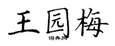 丁謙王園梅楷書個性簽名怎么寫