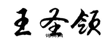 胡問遂王聖領行書個性簽名怎么寫