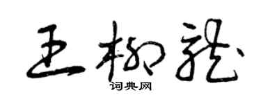 曾慶福王柳龍草書個性簽名怎么寫