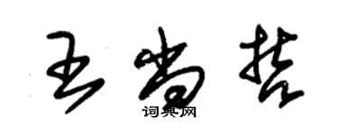 朱錫榮王尚哲草書個性簽名怎么寫