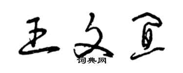 曾慶福王文宜草書個性簽名怎么寫