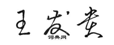 駱恆光王發貴草書個性簽名怎么寫