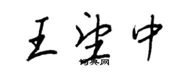王正良王望中行書個性簽名怎么寫
