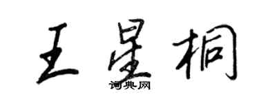 王正良王星桐行書個性簽名怎么寫