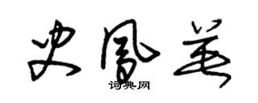朱錫榮史鳳英草書個性簽名怎么寫