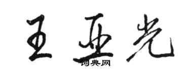 駱恆光王亞光行書個性簽名怎么寫