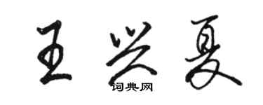 駱恆光王興夏行書個性簽名怎么寫