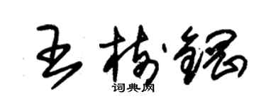 朱錫榮王樹鋼草書個性簽名怎么寫