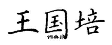 丁謙王國培楷書個性簽名怎么寫