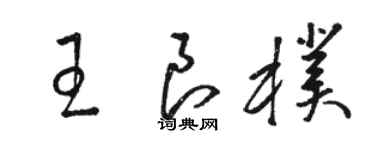 駱恆光王良朴草書個性簽名怎么寫