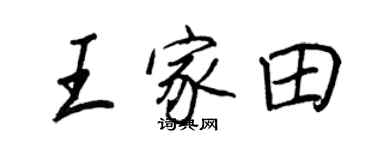 王正良王家田行書個性簽名怎么寫