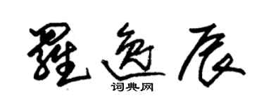 朱錫榮羅逸辰草書個性簽名怎么寫