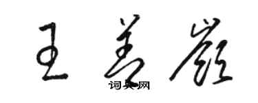 駱恆光王善嶺草書個性簽名怎么寫