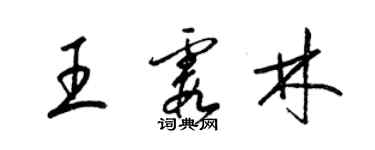 梁錦英王霞林草書個性簽名怎么寫