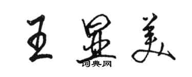 駱恆光王顯美行書個性簽名怎么寫