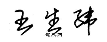 朱錫榮王生緯草書個性簽名怎么寫