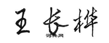 駱恆光王長樺行書個性簽名怎么寫