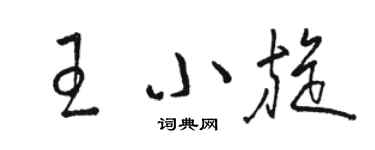 駱恆光王小旋草書個性簽名怎么寫