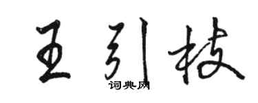 駱恆光王引枝行書個性簽名怎么寫