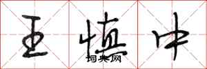 段相林王慎中行書怎么寫
