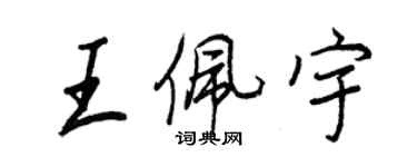 王正良王佩宇行書個性簽名怎么寫