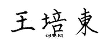 何伯昌王培東楷書個性簽名怎么寫