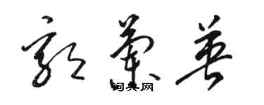 駱恆光郭蘭英草書個性簽名怎么寫