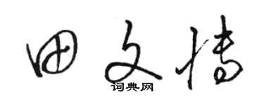 駱恆光田文博草書個性簽名怎么寫