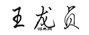 駱恆光王龍貞行書個性簽名怎么寫