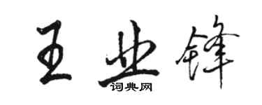 駱恆光王業鋒行書個性簽名怎么寫
