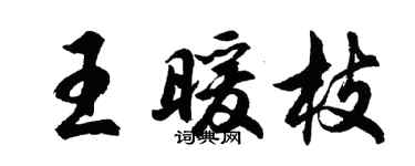 胡問遂王暖枝行書個性簽名怎么寫