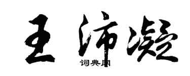 胡問遂王沛凝行書個性簽名怎么寫