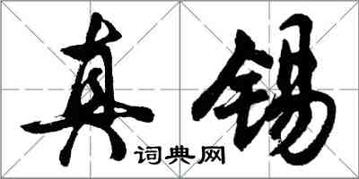 胡問遂真錫行書怎么寫