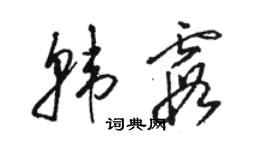 駱恆光韓霞草書個性簽名怎么寫