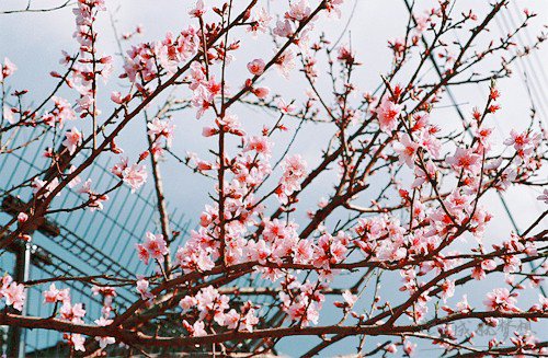 觸動心弦的句子