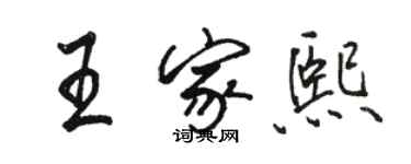 駱恆光王家熙行書個性簽名怎么寫