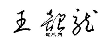 梁錦英王韶龍草書個性簽名怎么寫